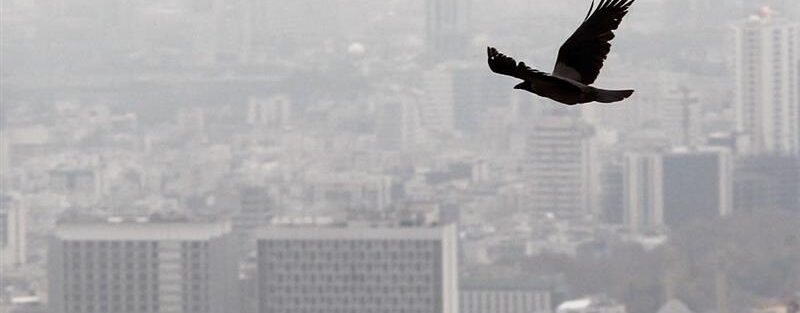 پایه مالیاتی مسکن افزایش می‌یابد