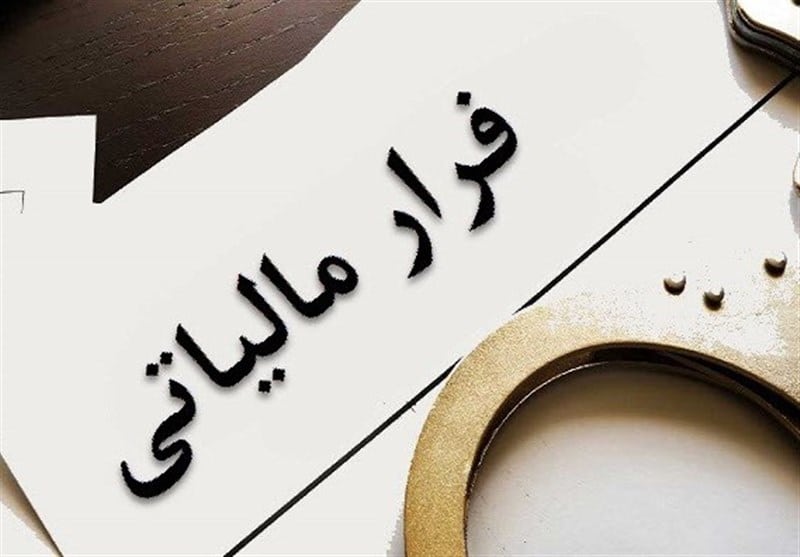 کتمان کنندگان درآمد در سازمان مالیاتی نقره داغ شدند